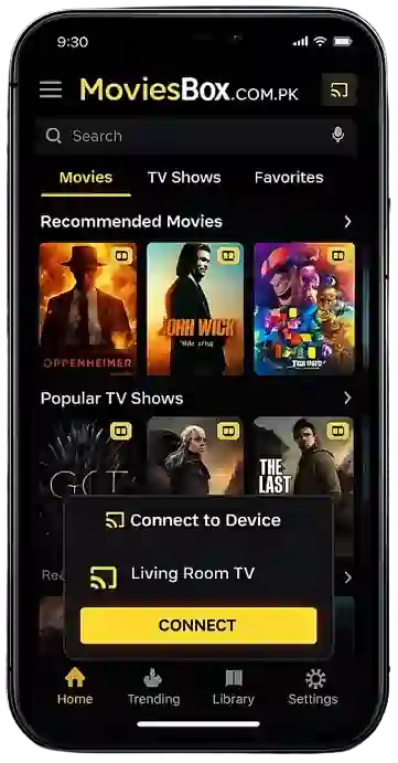 TV and Chromecast Support